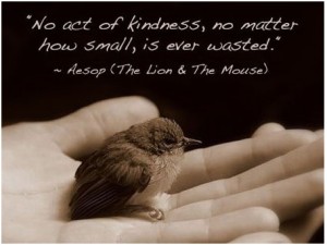 Act of Kindness